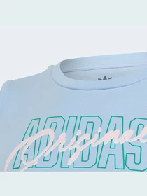 Футболки и поло Adidas Graphics модель IB8459 Фото