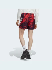 Шорти Adidas модель IC8253 Фото
