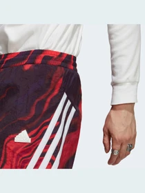 Шорти Adidas модель IC8253 Фото