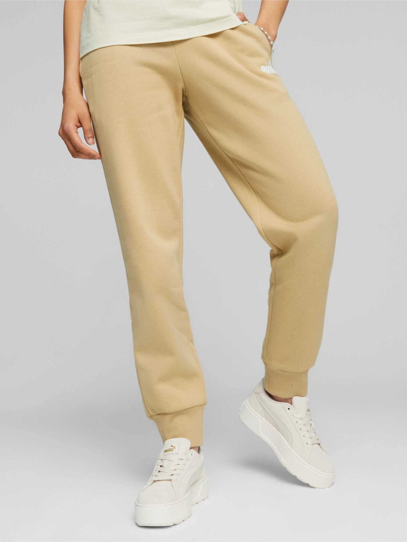 Брюки PUMA Ess Sweatpants модель 586841 Брюки PUMA Ess Sweatpants модель 586841 Фото