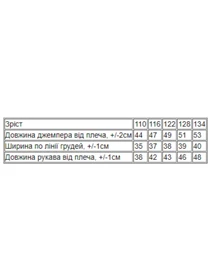 Худі та світшоти Носи своє модель 6069-024-5-hello-buzok Фото