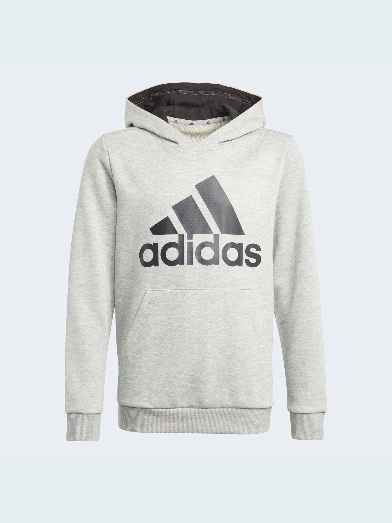 Худи и свитшоты Adidas модель GN4019 Худи и свитшоты Adidas модель GN4019 Фото