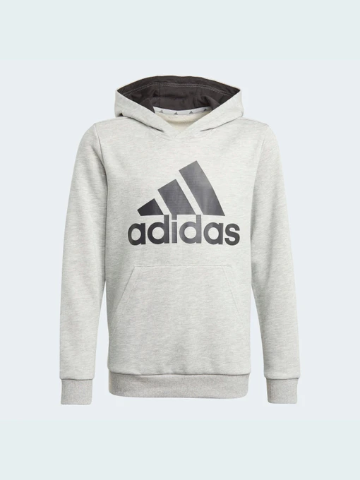 Худи и свитшоты Adidas модель GN4019 Фото