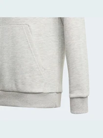 Худи и свитшоты Adidas модель GN4019 Фото