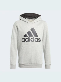 Худи и свитшоты Adidas модель GN4019 Фото
