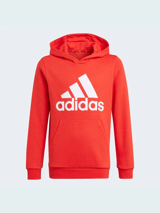Худи и свитшоты Adidas модель GN4037 Фото