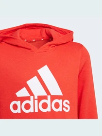 Худи и свитшоты Adidas модель GN4037 Фото