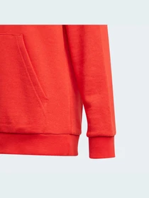 Худи и свитшоты Adidas модель GN4037 Фото