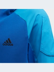 Худи и свитшоты Adidas модель HC1895 Фото