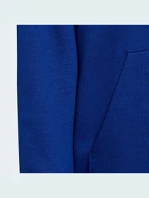 Худі та світшоти Adidas модель HE9289 Фото