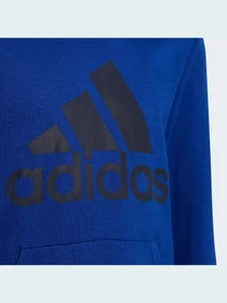 Худі та світшоти Adidas модель HE9289 Фото