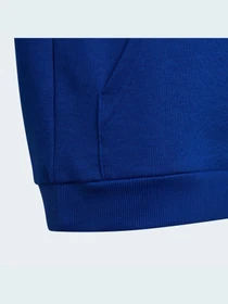 Худі та світшоти Adidas модель HE9289 Фото