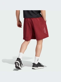 Шорты Adidas модель HY1282 Фото