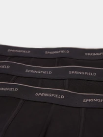 Нижня білизна SPRINGFIELD модель 1255823-01 Фото