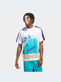 Футболки и поло Adidas Graphics модель IN4777 Фото