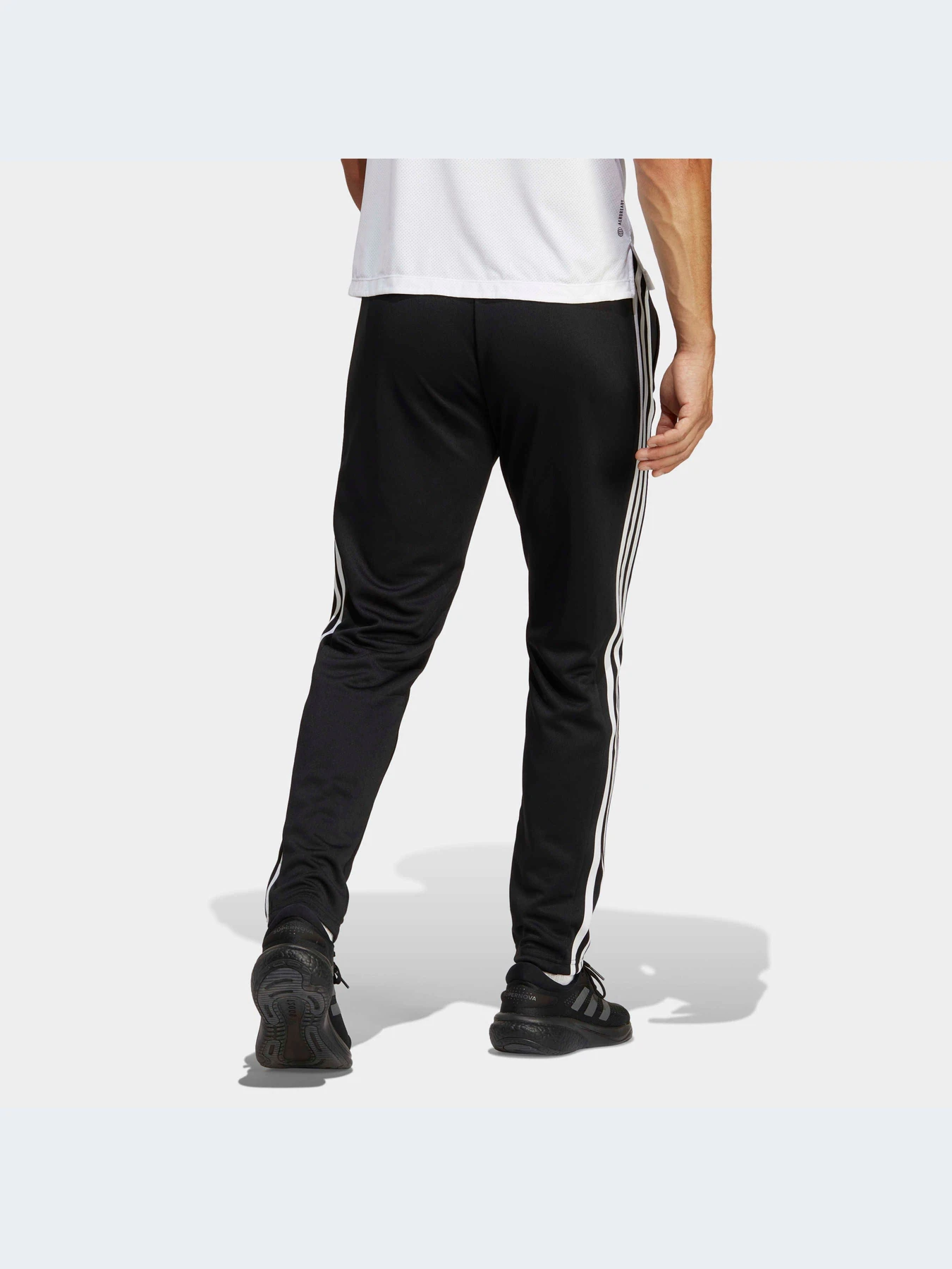 Брюки Adidas модель IB8168 Брюки Adidas модель IB8168 Фото
