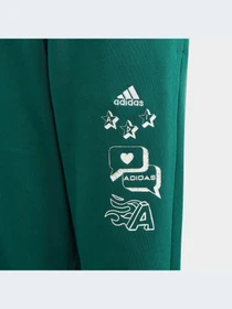 Брюки Adidas модель IA1553 Фото