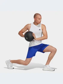 Шорты Adidas модель IC6979 Фото