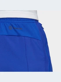 Шорты Adidas модель IC6979 Фото
