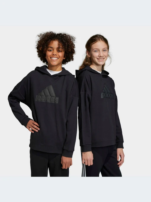 Худи и свитшоты Adidas модель HR6301 Фото
