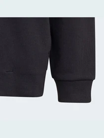 Худі та світшоти Adidas модель HR6301 Фото