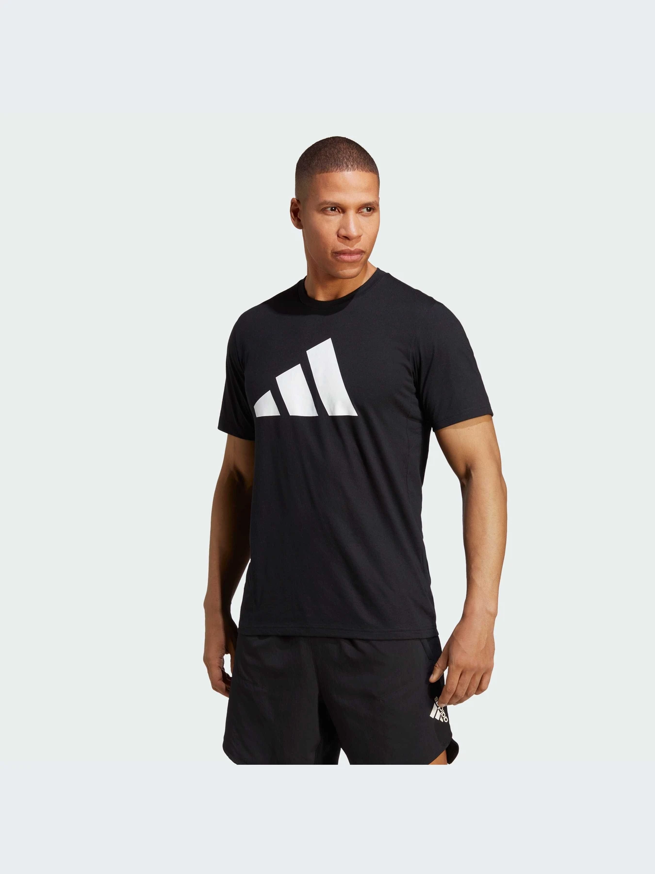 Футболки и поло Adidas модель IB8273 Футболки и поло Adidas модель IB8273 Фото