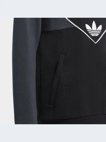 Худі та світшоти Adidas Adicolor модель IC6228 Фото