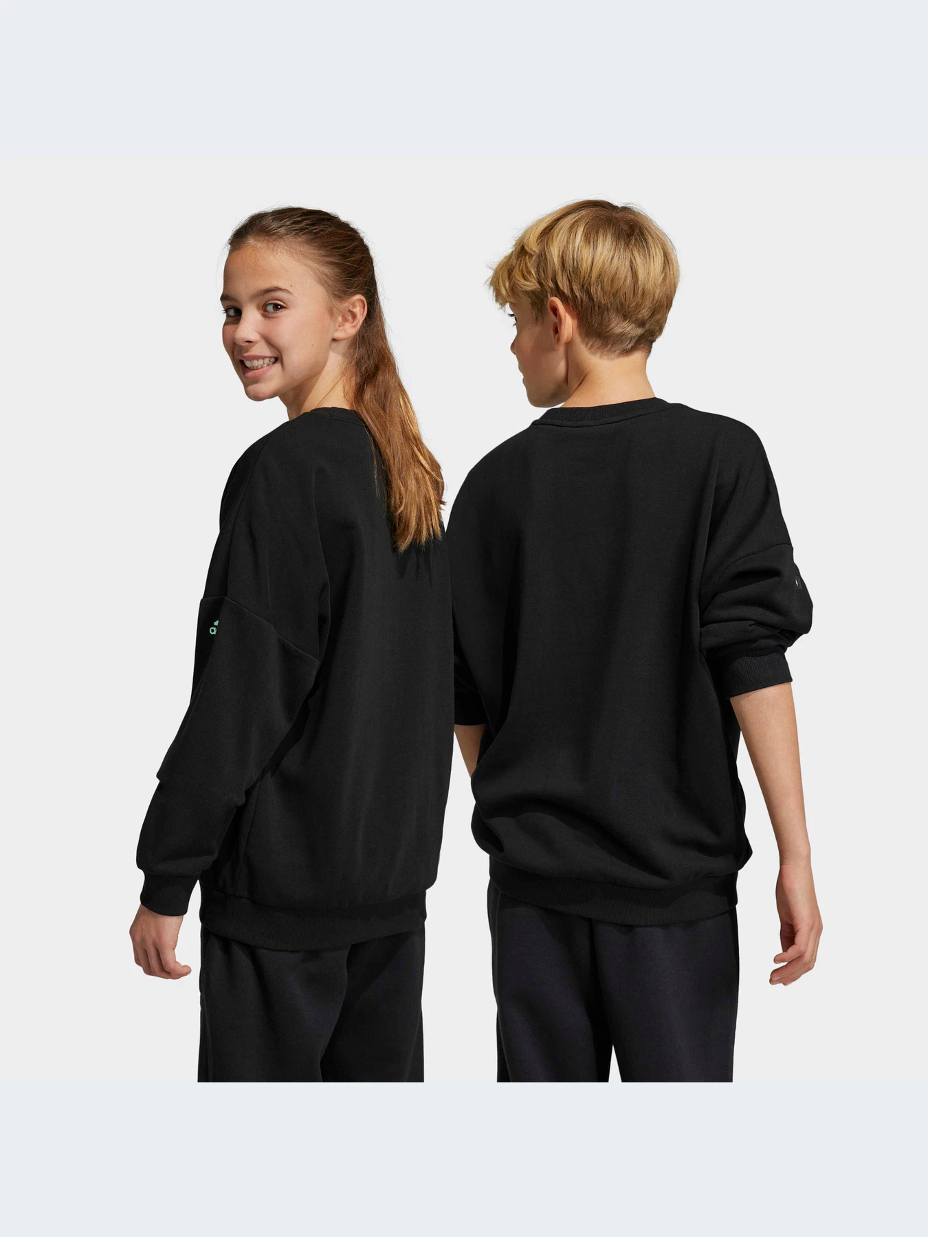 Худи и свитшоты Adidas модель HR6410 Худи и свитшоты Adidas модель HR6410 Фото