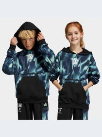 Худі та світшоти Adidas модель HR6413 Фото