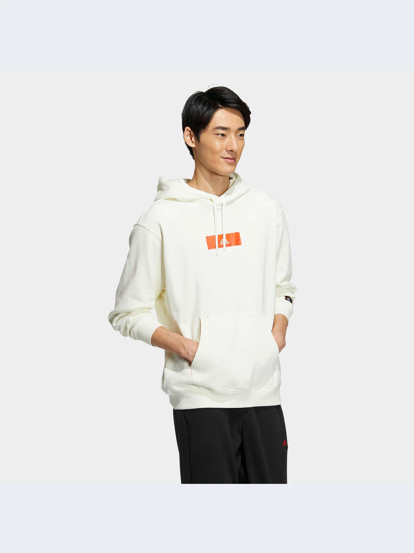 Худи и свитшоты Adidas Graphics модель HZ3035 Худи и свитшоты Adidas Graphics модель HZ3035 Фото