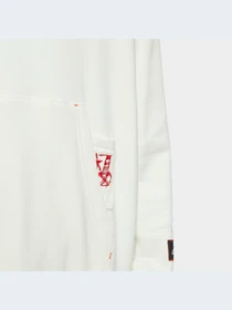 Худи и свитшоты Adidas Graphics модель HZ3035 Фото