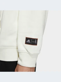 Худи и свитшоты Adidas Graphics модель HZ3035 Фото