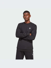 Худі та світшоти Adidas модель IA4805 Фото