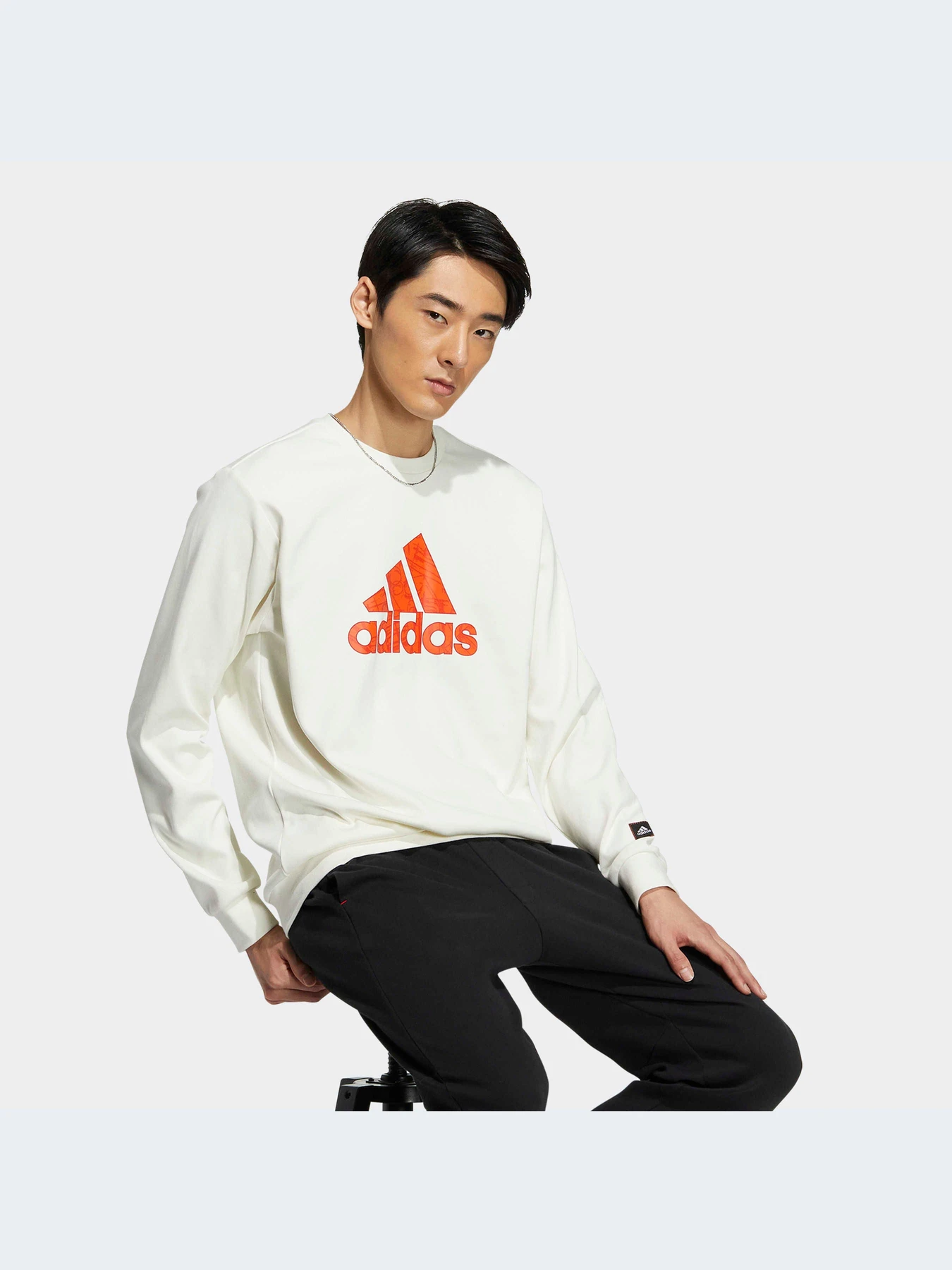 Худи и свитшоты Adidas Graphics модель HZ3024 Худи и свитшоты Adidas Graphics модель HZ3024 Фото
