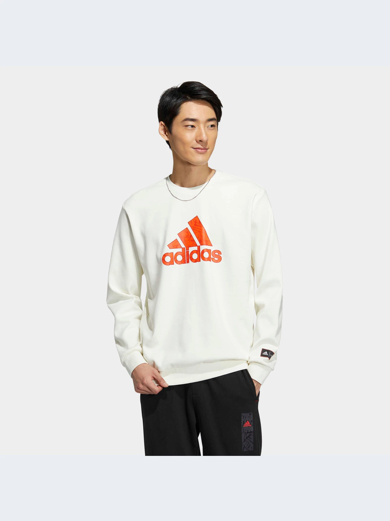 Худи и свитшоты Adidas Graphics модель HZ3024 Худи и свитшоты Adidas Graphics модель HZ3024 Фото