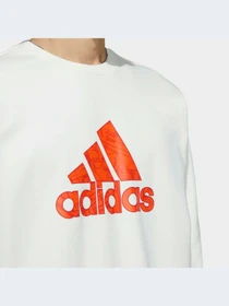 Худи и свитшоты Adidas Graphics модель HZ3024 Фото