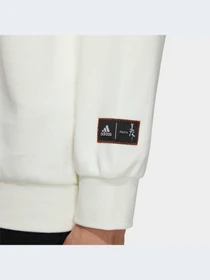 Худи и свитшоты Adidas Graphics модель HZ3024 Фото