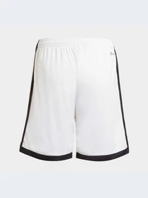 Шорты Adidas модель HB0433 Фото