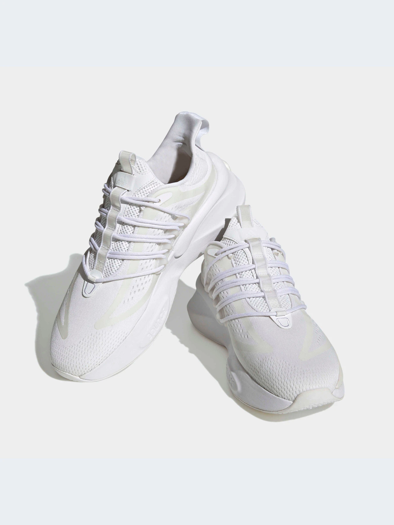 Кросівки Adidas Alphabounce модель HP2759 Кросівки Adidas Alphabounce модель HP2759 Фото