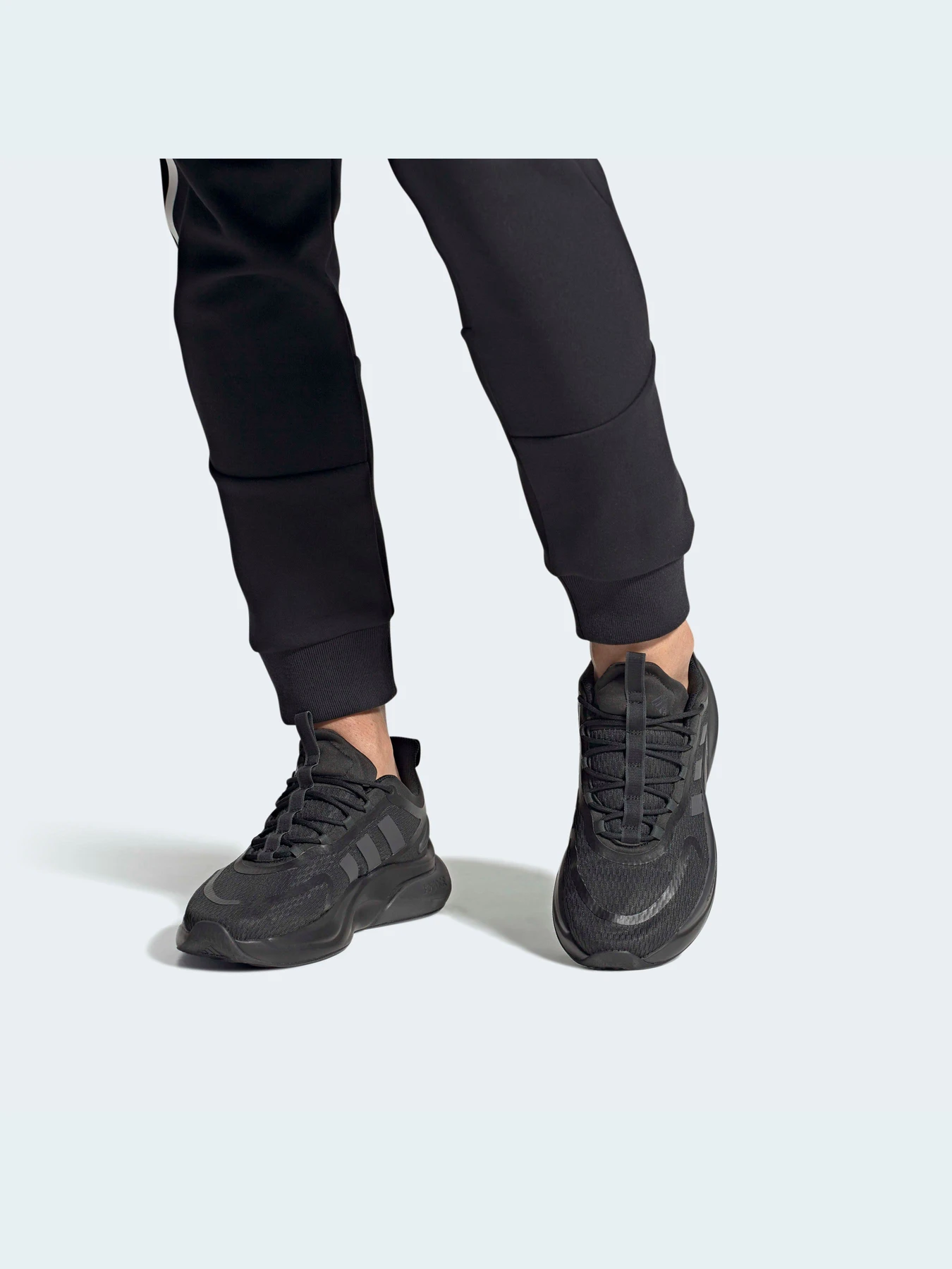 Кросівки Adidas Alphabounce модель HP6142 Фото