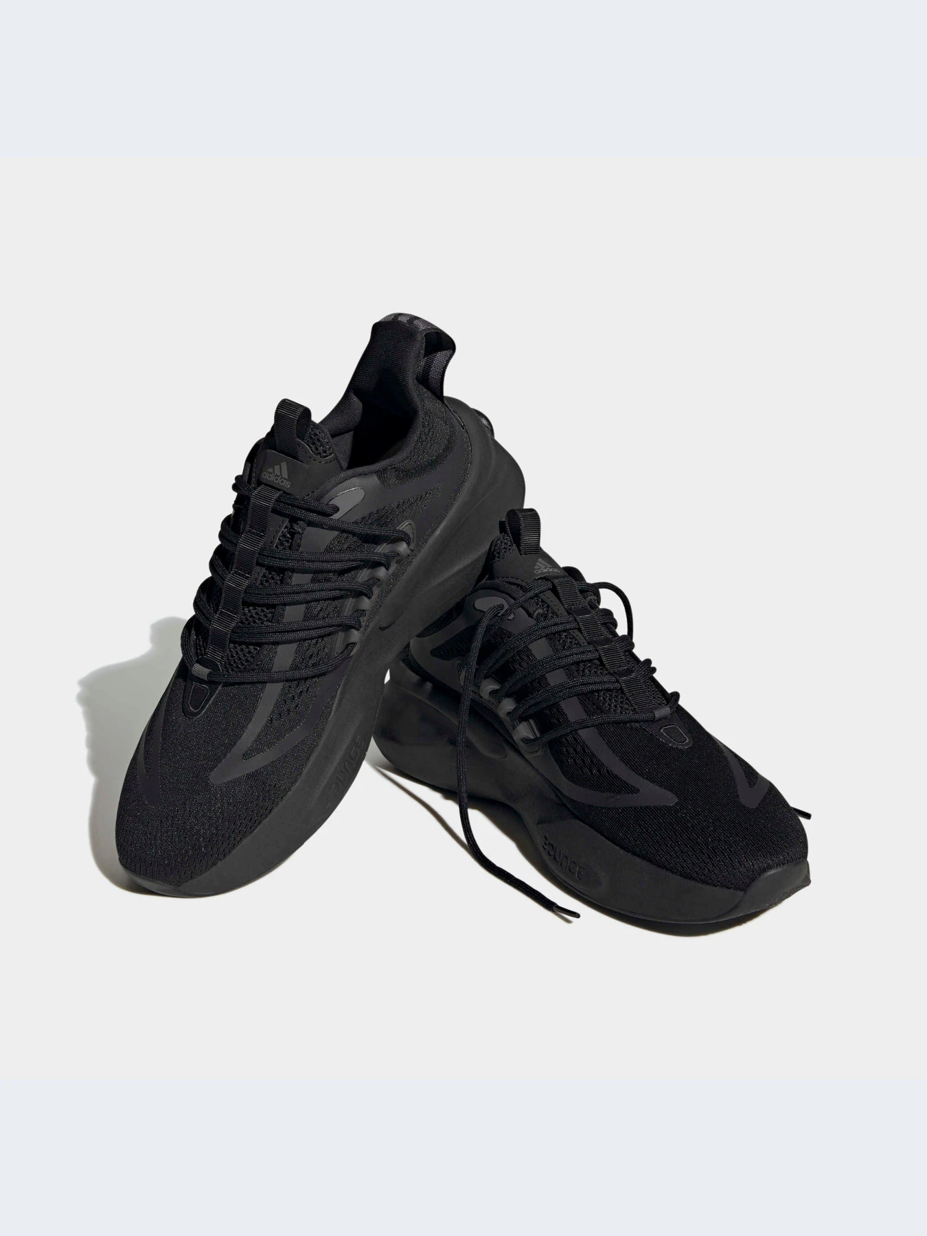 Кросівки Adidas Alphabounce модель HP2760 Фото