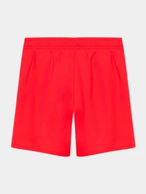 Одежда для пляжа PUMA Swim Boys Medium Length модель 938138 Фото