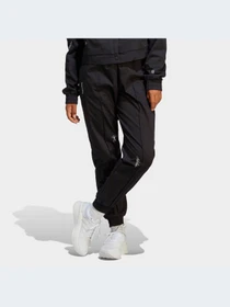Брюки Adidas модель IC0794 Фото