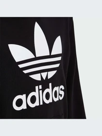 Худі та світшоти Adidas модель DV2870 Фото