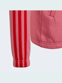 Худи и свитшоты Adidas модель GS2197 Фото
