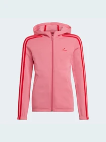 Худи и свитшоты Adidas модель GS2197 Фото