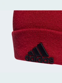 Шапки та кепки Adidas модель HF0109 Фото
