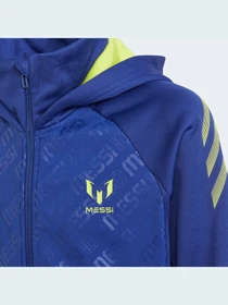 Худи и свитшоты Adidas модель GT9404 Фото