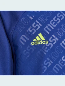 Худи и свитшоты Adidas модель GT9404 Фото