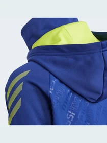 Худи и свитшоты Adidas модель GT9404 Фото